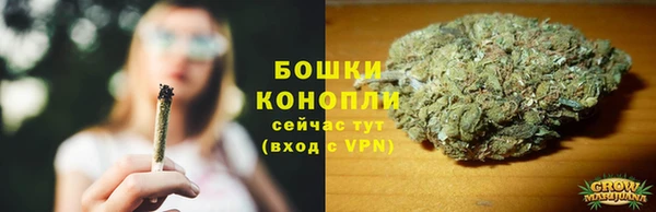 метадон Зеленодольск