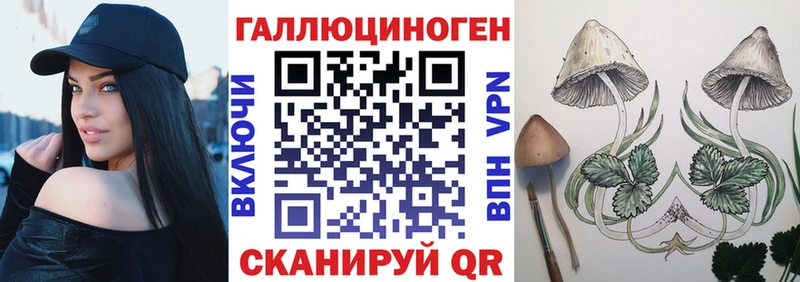 Галлюциногенные грибы Psilocybe  Армавир 
